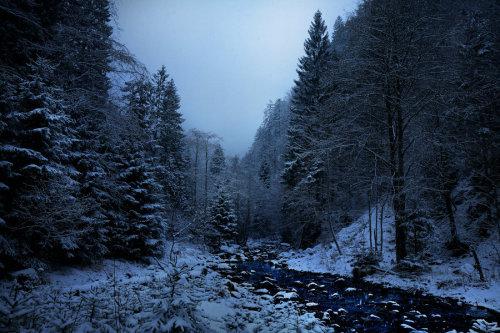  Autors: Fosilija Winter #15