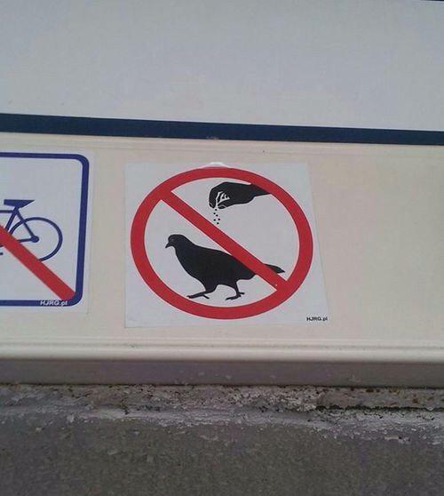 Lūdzu nebērt uz putniem... Autors: KALENS 20+ šausmīgi dizaini, par kuriem nav iespējams nesmieties