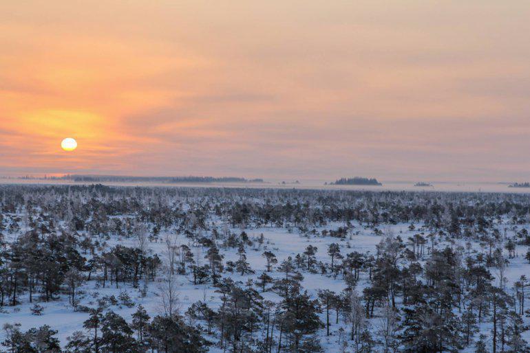 Ziemas pasakas saulriets Autors: 100 A 25 pasakaini kadri, kurus mums atnesis bargais sals. Latvija vizuļo!