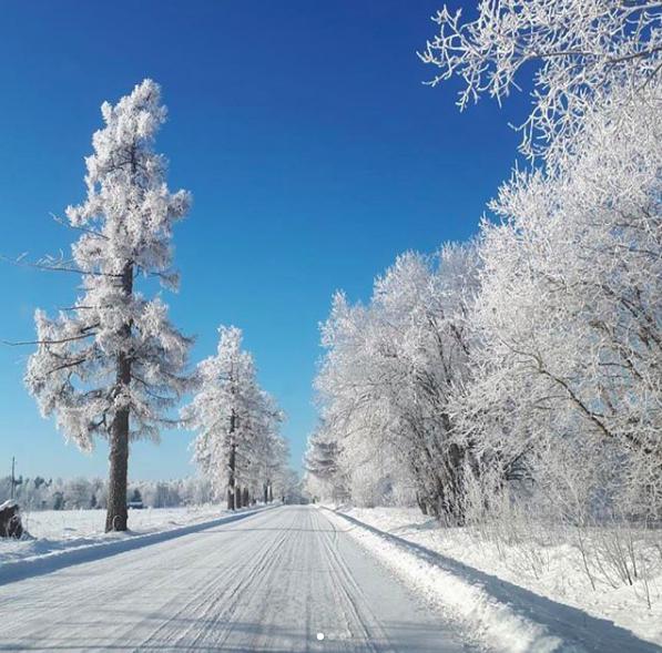 Baltākais ziemas ceļscaron... Autors: 100 A 25 pasakaini kadri, kurus mums atnesis bargais sals. Latvija vizuļo!
