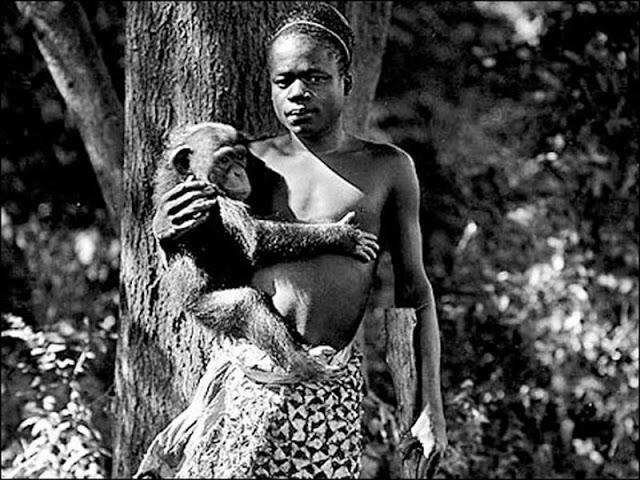 Oto Benga Kongo pigmejs ko... Autors: Lestets Ticiet vai nē: cilvēku zoodārzi
