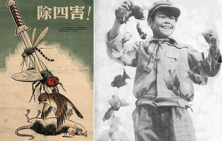 Lai quotLielais lēciensquot... Autors: Testu vecis Kā komunists Mao nogalināja 18-40 miljonus ķīniešu