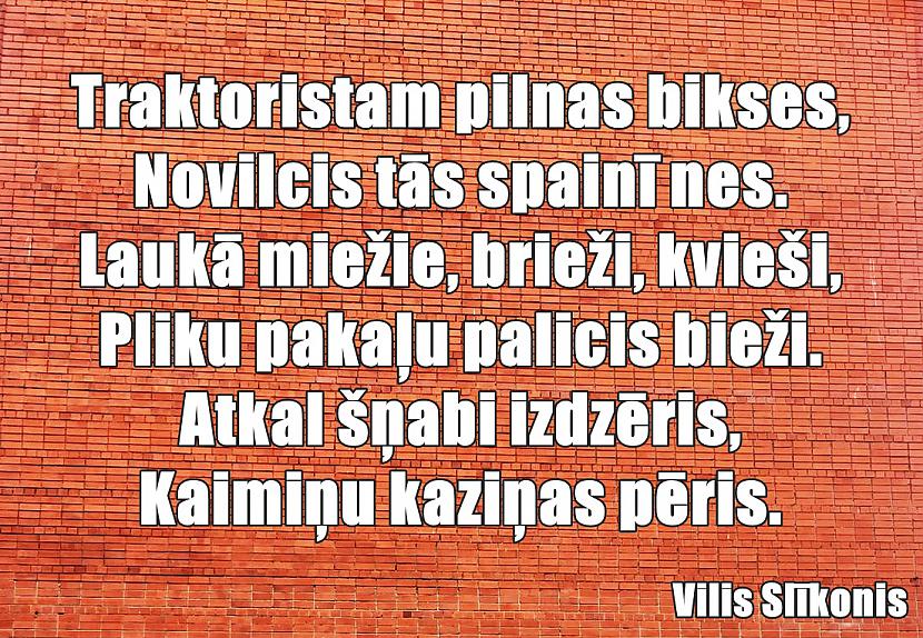  Autors: Vilis Slīkonis Laukos dzīve skarba, Vilis ķeras pie darba