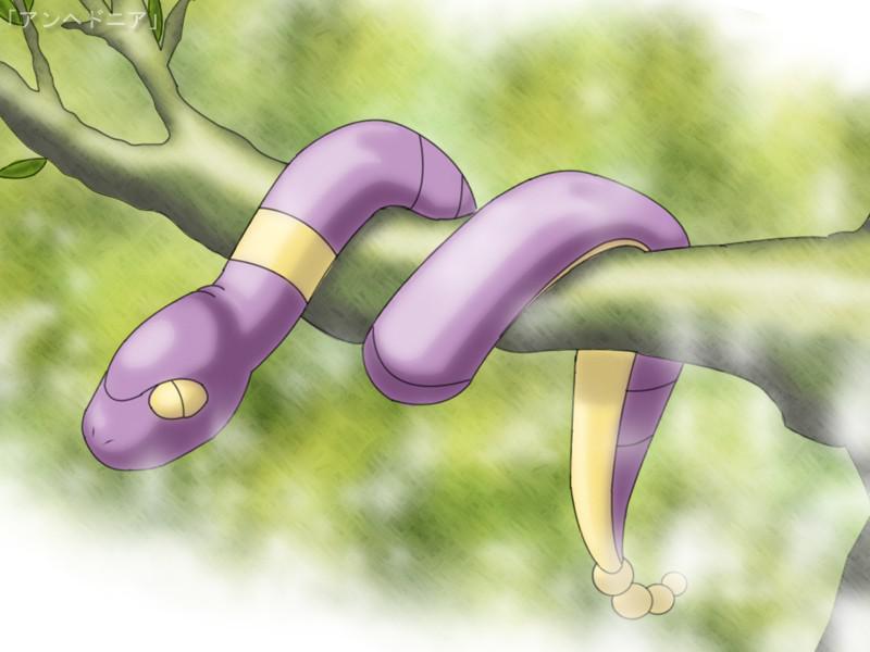 Neesmu ēdis čūskunbsp Bet esmu... Autors: Tokiari  Pokemoni, kurus es gribētu apēst #1