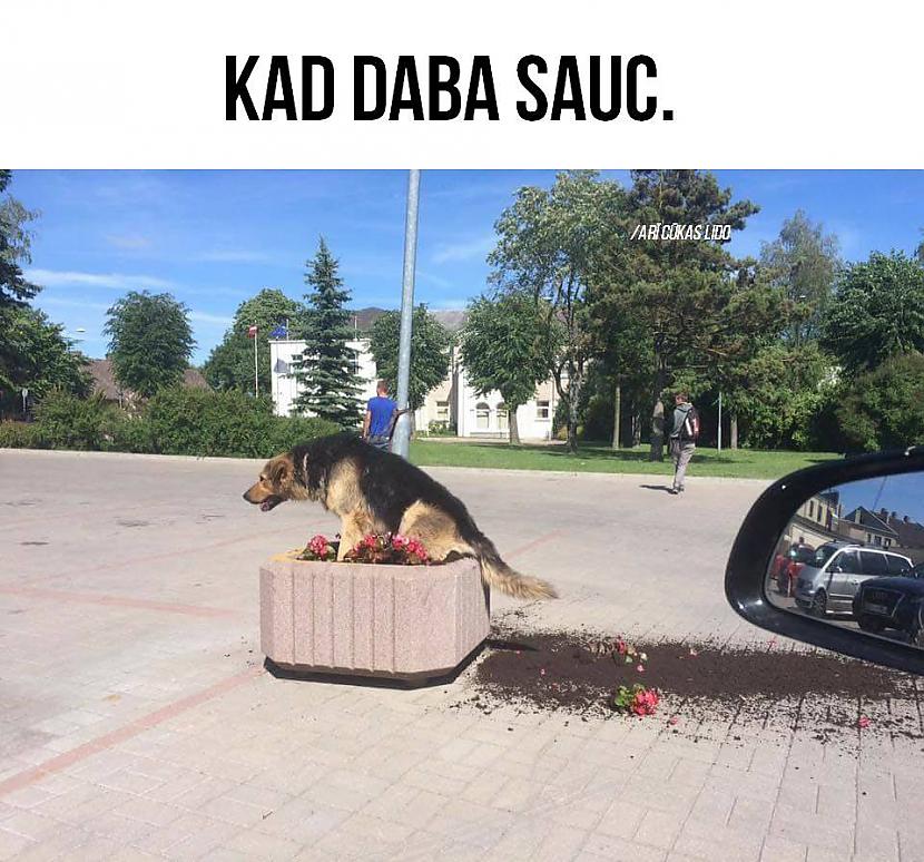  Autors: Fosilija Kad daba sauc