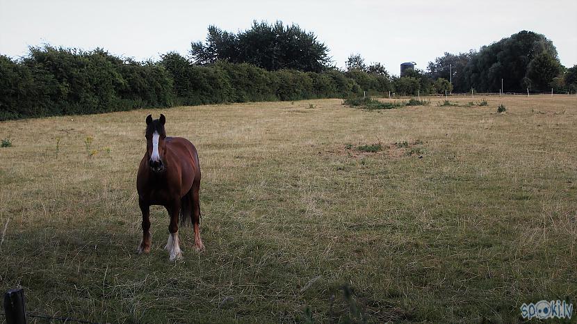  Autors: rolands 2 Bildes - Vakars pie  ezera ar dzelteno draugu