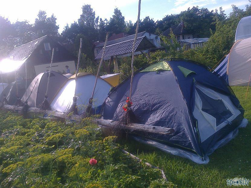 Dārzā teltis izauguscaronas kā... Autors: ezkins Fantastiskais piepildījums