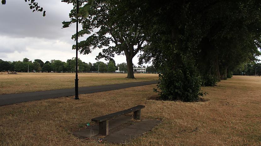  Autors: rolands 2 Bildes - The Racecourse Park (pēc 20 dienu karstuma)
