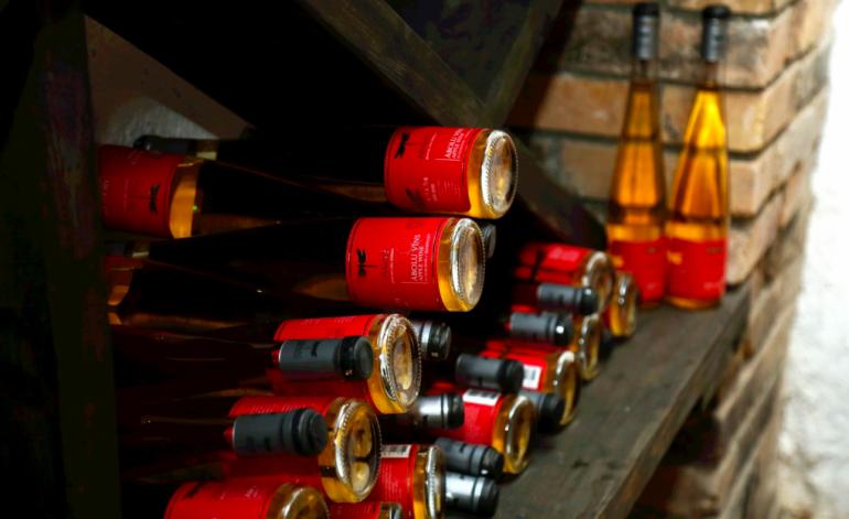 2010 gadā dibinātajā vīna... Autors: Fosilija Latviešu vīna darītava rāda, kāds ir dzēriena gatavošanas process