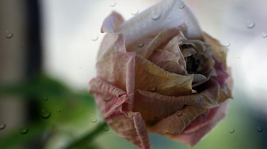 Kā sociālie tīkli bojā romantiku