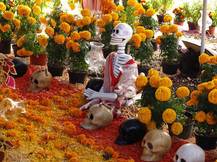 Meksikāņi scaronos svētkus... Autors: GargantijA Helovīns – apkārt pasaulei