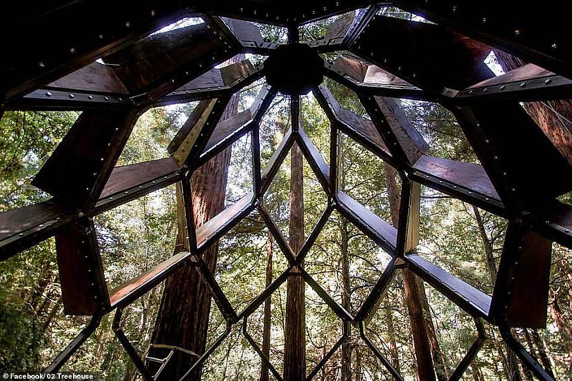  Autors: Pīters Kvils Vai tu gribētu padzīvot šādā koka namiņā?