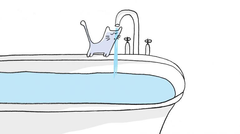 Vannas ūdens kvalitātes... Autors: ĶerCiet 17 ļoti svarīgi kaķu dzīves pienākumi