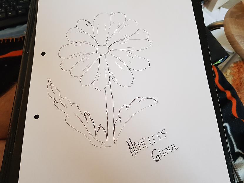  Autors: Nameless Ghoul FS zīmēta puķe (labots)
