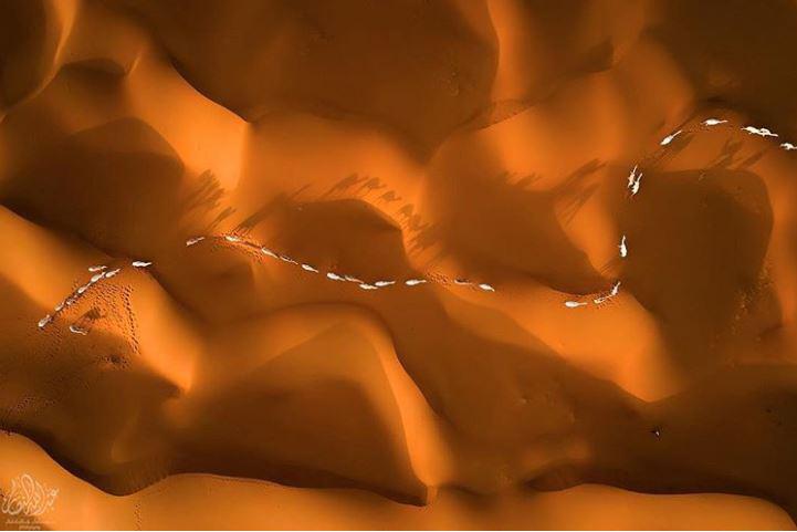 Kamieļu ceļscaron pāri smiltīm... Autors: Lestets 20 pārsteidzošas Sjēnas Starptautiskās fotoizstādes fotogrāfijas