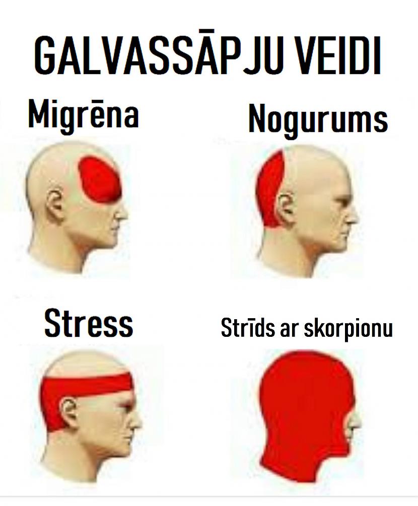Memes par SKORPIONIEM - Spoki
