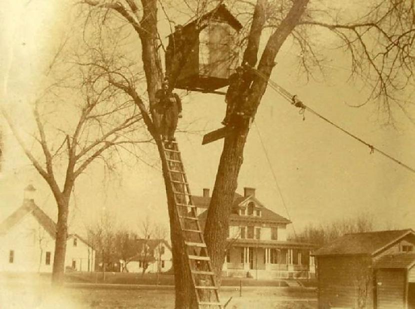 Mājiņa bērniem kokā 1900tie... Autors: Lestets Jocīgas un dīvainas vēsturiskas fotogrāfijas