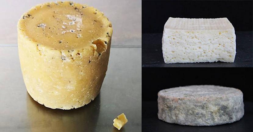 Vai tu ēstu tādu sieru Autors: Lestets Šis "cilvēku siers" ir izgatavots no slavenību padušu baktērijas