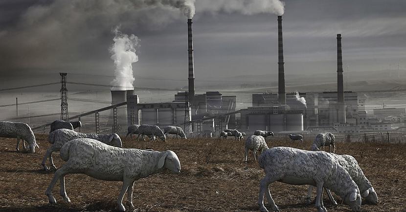 Holingas purvāji ir iznīcināti... Autors: Lestets Ķīnas valdība negrib, lai tu redzētu šīs fotogrāfijas