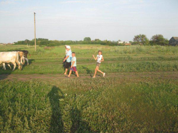  Autors: Fosilija Vasaru laukos ir lieliski (Kāds no Krievijas ciematiņiem)