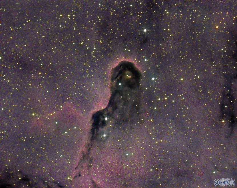 IC 1396 Ziloņa snuķis neliels... Autors: peleks Astrofotogrāfēšana 3.daļa