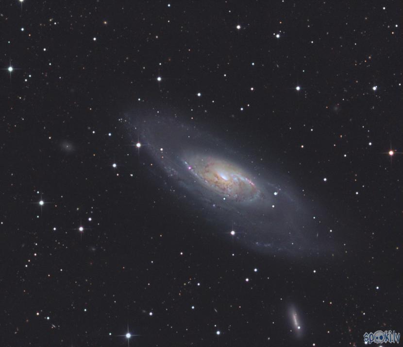 M106 arī spirālveida galaktika... Autors: peleks Astrofotogrāfēšana 3.daļa