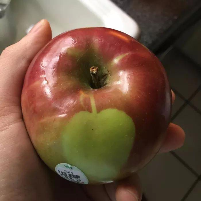 nbspĀbols ar mazu ābolīti Autors: matilde 25 reizes, kad māte daba mazliet sajauca augļus ar dārzeņiem
