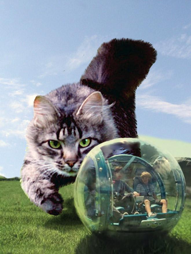  Autors: matilde Kā izskatītos «Juras laikmeta parks», ja dinozauru vietā būtu tikai kaķi