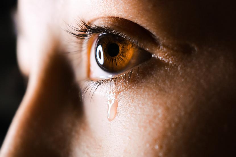 nbspPrieka asaras un bēdu... Autors: matilde 18 interesanti fakti, kas pārsteigs pat viserudītāko cilvēku