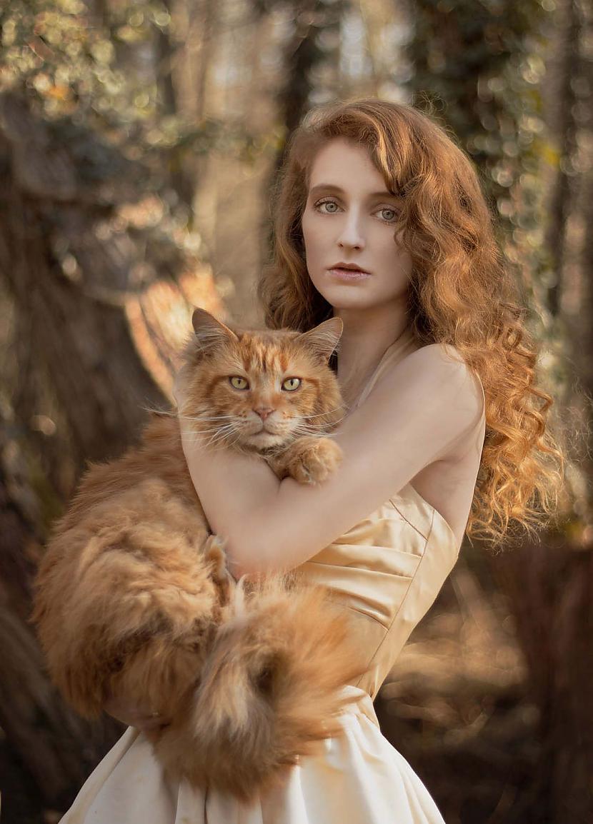  Autors: Drakonvīrs Kaķi un sievietes..