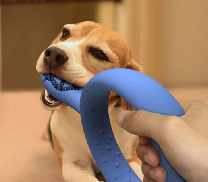 Lai zobu tīrīscaronanu sunim... Autors: Lestets 22 izgudrojumi, kurus sen jau kā vajadzēja (un mēs beidzot tos ieguvām)