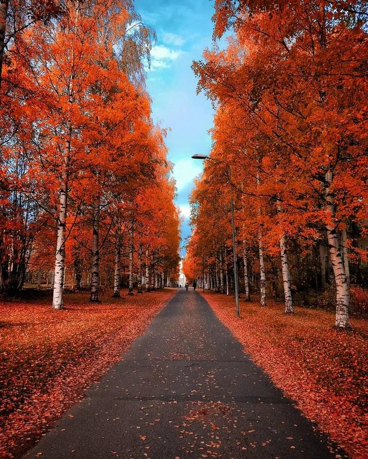 nbspOulu Somijanbsp Autors: Lestets Kā izskatās rudens apkārt pasaulei?