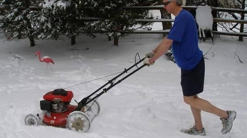 Asorti ar tekstu šodienai (16.12.2019)