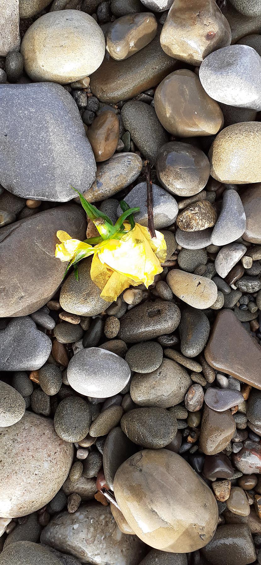  Autors: Griffith Šodiena, Dunraven Bay & Ogmore By Sea, Southerndown, Wales.