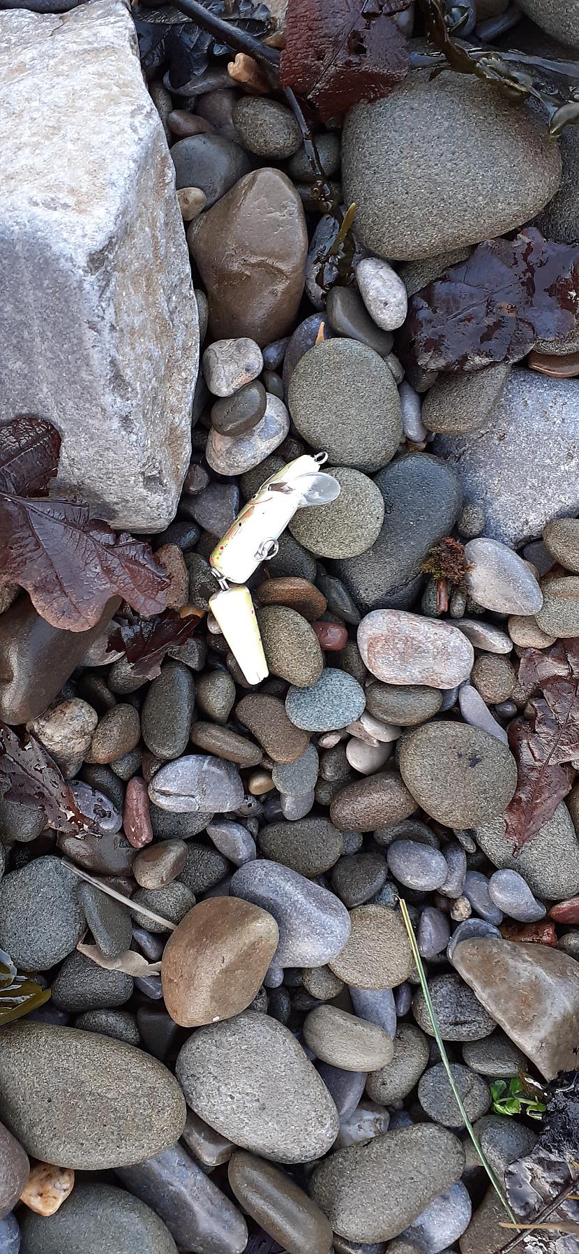  Autors: Griffith Šodiena, Dunraven Bay & Ogmore By Sea, Southerndown, Wales.