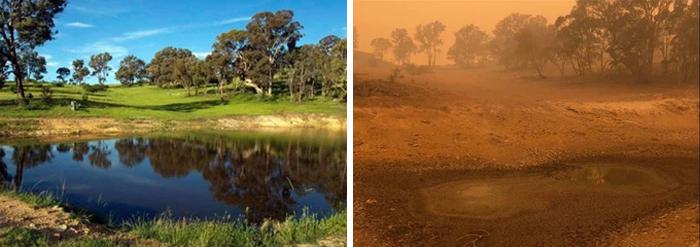 nbspSavvaļas dzīvnieku... Autors: Lestets 19 fotogrāfijas no Austrālijas: Pirms un pēc mežu ugunsgrēkiem