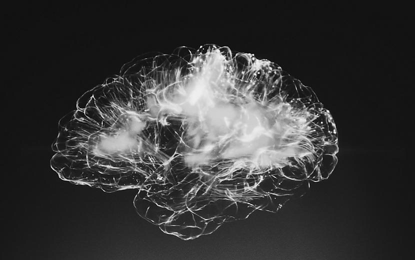 Smadzenes ir aktīvākas nakts... Autors: Lestets 16 cilvēka ķermeņa īpatnības, par kurām pat mediķi var nezināt