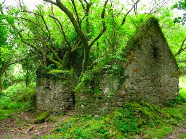  Autors: Fosilija Kad daba uzvarēja cīņā pret civilizāciju... 🌳🌴🍀