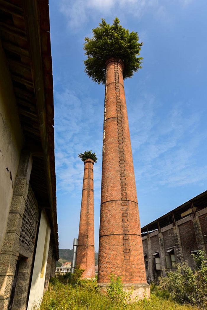  Autors: Fosilija Kad daba uzvarēja cīņā pret civilizāciju... 🌳🌴🍀