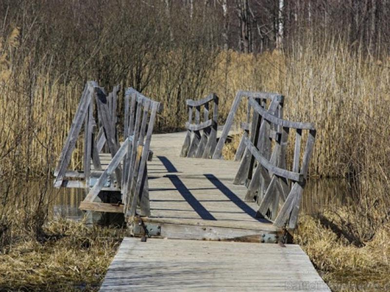 Lielezera dabas takaLielezera... Autors: matilde Apceļo Latviju: 8 dabas parki un takas saulaino brīvdienu baudīšanai