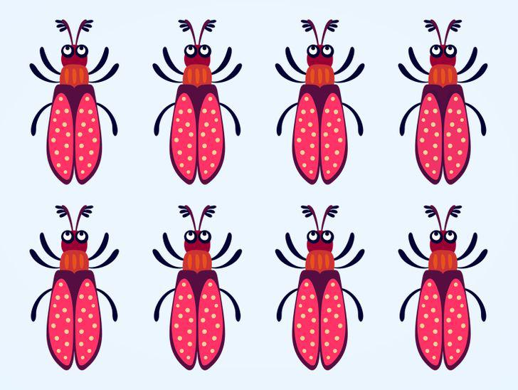 Pareizā atbilde nākamajā... Autors: matilde Uzmanības tests: Vai vari atrast atšķirīgo kukaini 15 attēlos?