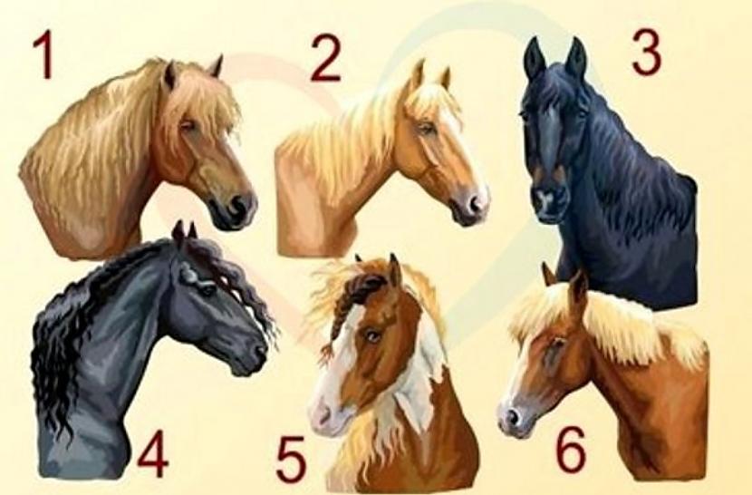 Ceturtais zirgsTu esi empāts... Autors: Zibenzellis69 Izvēlies zirgu un uzzini vairāk par savu raksturu!
