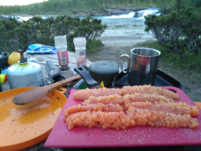  Autors: Raivo Šķuburs Video. Cope pie polārā loka (lapland) kalnu ezerā meklēju arktiskās palijas.