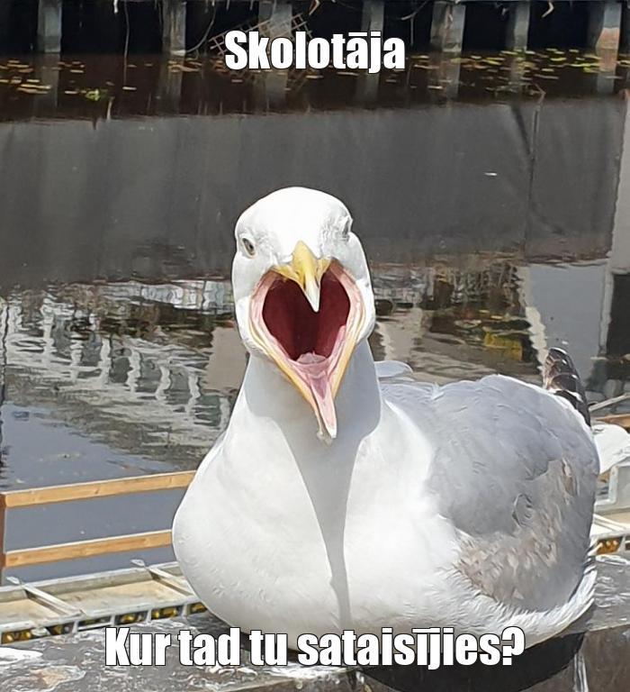  Autors: Komentētāja  Memes