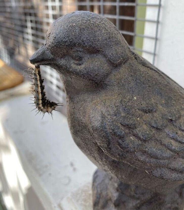 Skat pat putna dzelzs statuja... Autors: Lestets 20 sakritības, kas apmulsinās pat lielākos skeptiķus