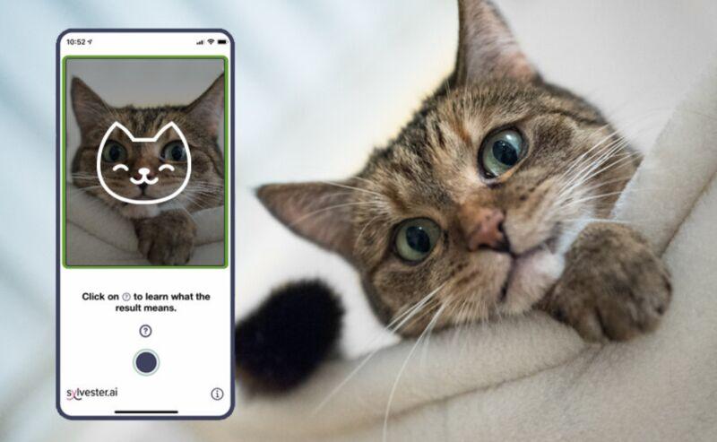 Aplikācija var apskatīt kaķa... Autors: matilde Ir pieejama mobilā aplikācija, kas palīdz noteikt, kā jūtas kaķis