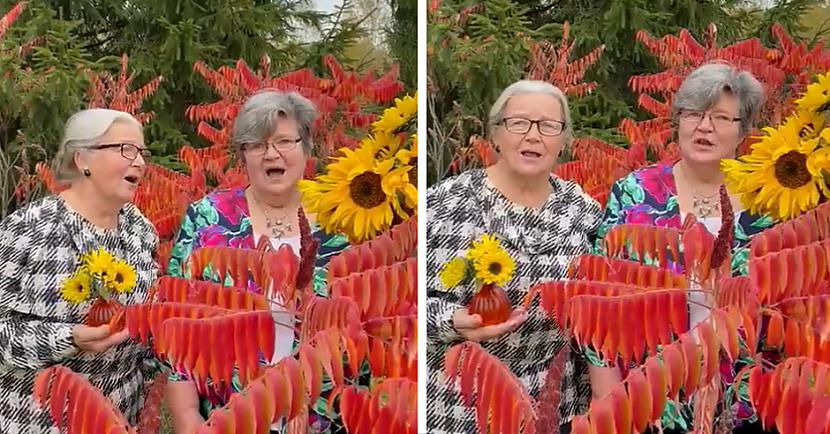 Video ieguvis jau teju 9000... Autors: matilde Video: Internetu sajūsmina divas pensionāres ar dziesmu par «kovida» poti