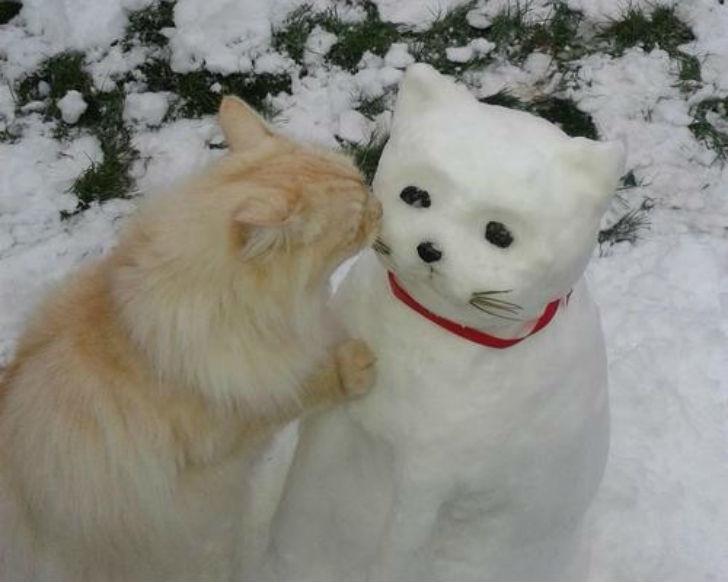 Pat kaķim patika Autors: Zibenzellis69 30 sniegavīri, kas vairāk izskatās pēc mākslas darbiem