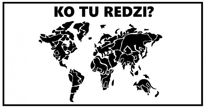 Kas tas ir ko tu ieraudzīji Autors: Lestets Pirmais dzīvnieks, ko tu ieraudzīsi, atklās, kas tevi visvairāk sadusmo