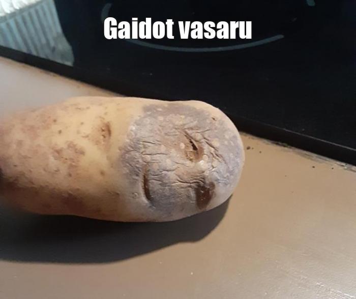  Autors: Gurķisgurķis1 Memes